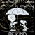Brenda Beck-Niehaus's profile image