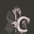 Alison Roubique Carroll's profile image