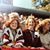 Cyndie Warner Crowell's profile image