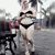 Yohaa Fernandez's profile image