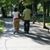 Aisha C R Haynes's profile image