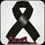 Carolyn Clark Havers's profile image