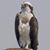 Fredie J. Sacramento's profile image