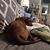 Carrie Parker's profile image