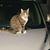 Sandra Mongold's profile image