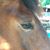 Robyn Robbins's profile image