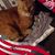 Carolyn Kemmerer's profile image