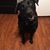 Diane Mason's profile image