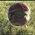 LeeAnn Cole Jostes's profile image