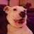 Jodi Lozano's profile image