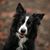 Heather Christenson's profile image