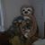 Carolyn Diem's profile image