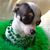 Beth Sawinski's profile image