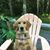 Vicki Lutz's profile image