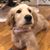 Brian Pinsonault's profile image