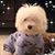 Donna M Munroe's profile image