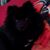 Donna Jones's profile image
