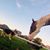 Shelly Phalen's profile image