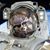 Roy Nawrot's profile image