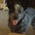 Gary Ford's profile image