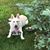 Twyla Milam's profile image