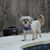 Gayle Robertson Tedford's profile image
