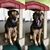 Terri Taylor Reis's profile image