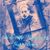 Barbara Tapia Bond's profile image