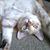Nancy Lorincz's profile image