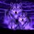 Melissa Vaughn's profile image