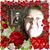 Donna Moss Curtis's profile image