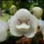 Nancy Boothe's profile image