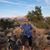 Steve Hunter's profile image