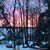 Heidi Wilke's profile image