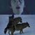Noah Potter's profile image