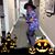 Ginny Kehr's profile image