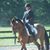 Tracy Fox's profile image