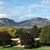 Lois Coutts's profile image