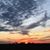 Janet Brenek Molder's profile image