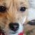 Dawn Saunders's profile image