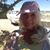 Elaina Deva Proffitt's profile image