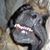 Aline Wagner Rahm's profile image