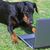 Kim Smith Doerflein's profile image