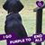 Lucinda Harding's profile image
