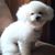Cindy Custer Slaventa's profile image