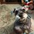 Pat Kelly-Dardiz's profile image