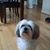 Linda Stevens's profile image
