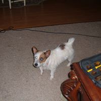 Anonymous's profile image