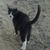 Bob Walz's profile image