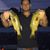 Curtis Kreger's profile image